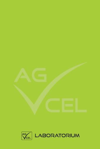 Agcel-Laboratorium-projekt-graficzny-notes